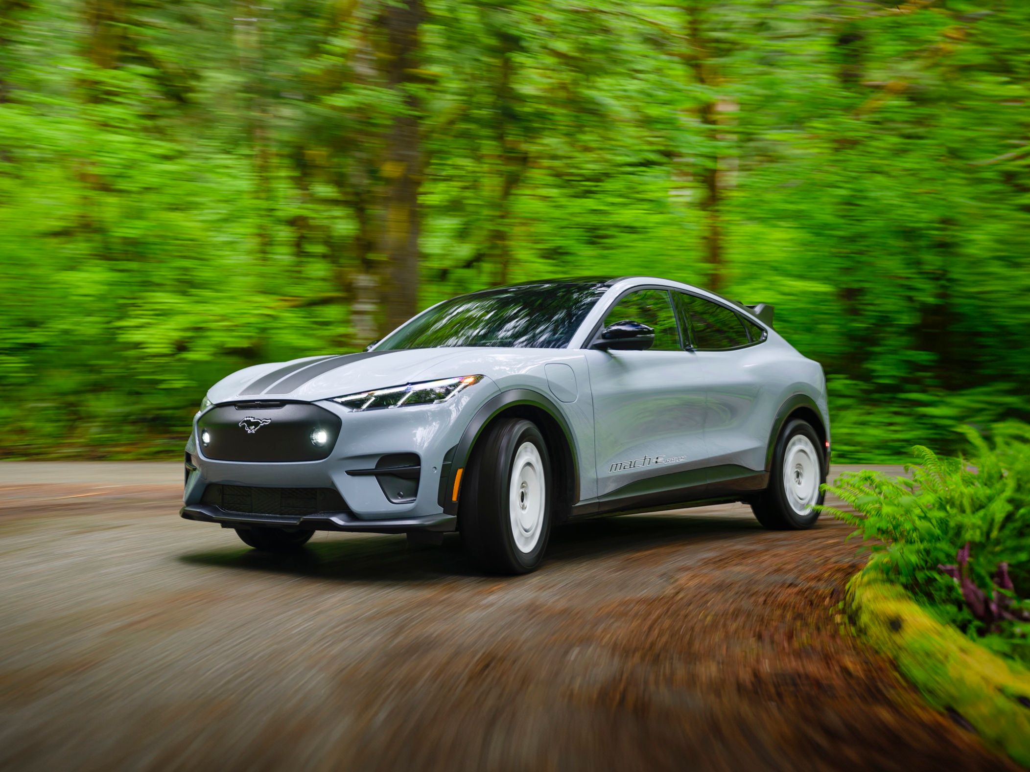 Private driver travel atmosphere in Prince Edward Island